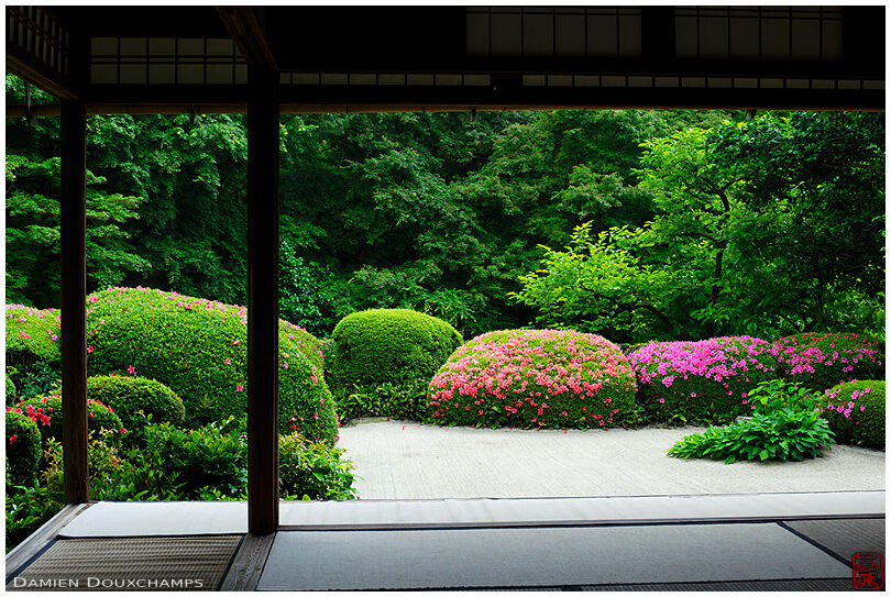 Meditation hall in summer, Shisen-do temple (6/7)