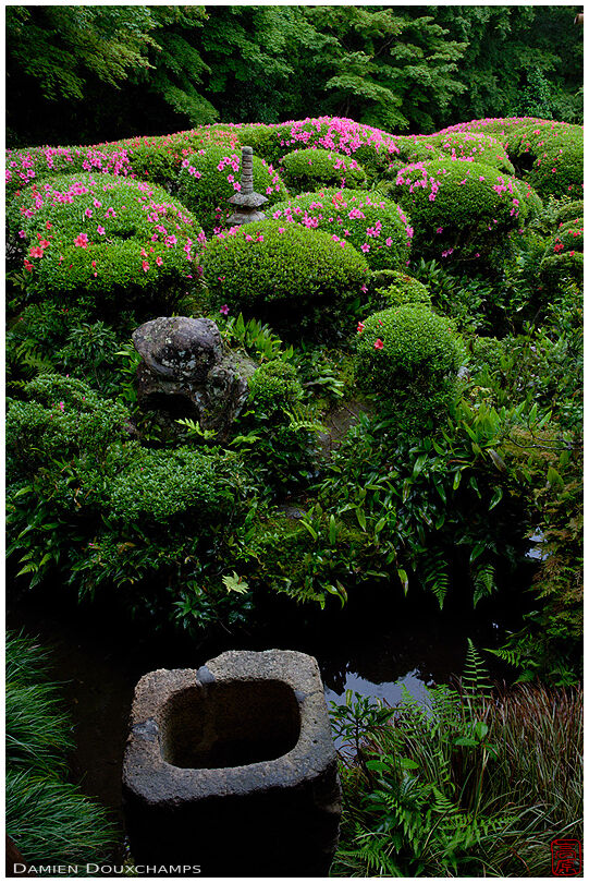 Rock basin in zen garden, Shisen-do temple