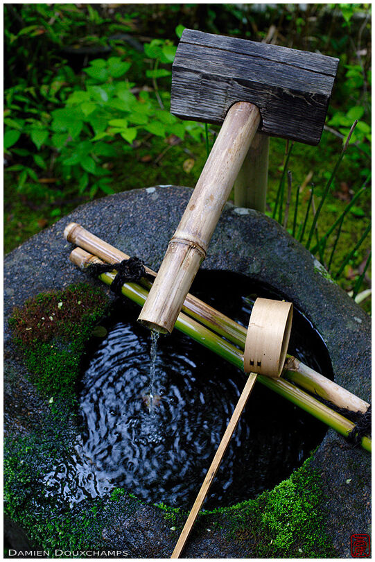Mossy stone washbasin in Shisen-do's zen gardens