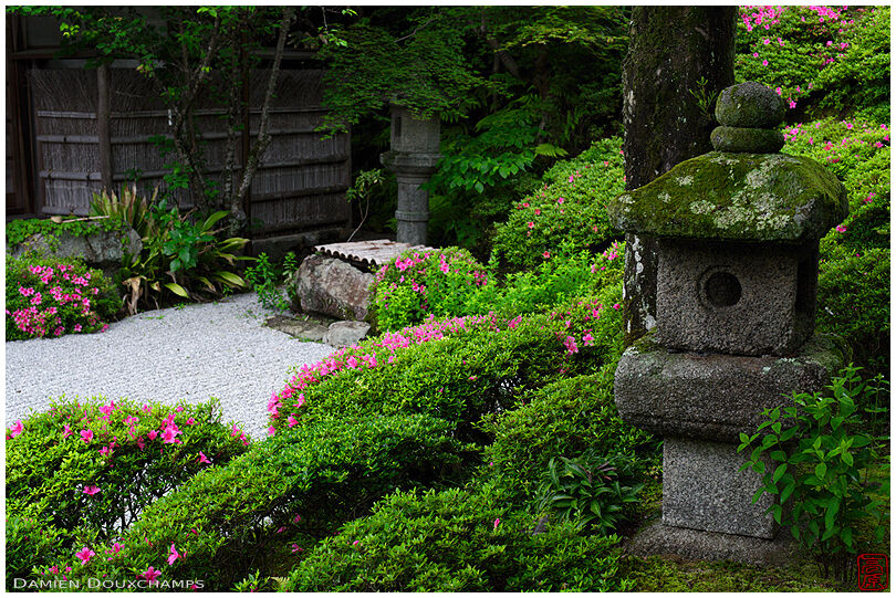 Stone lanterns in Konpuku-ji gardens