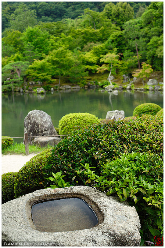 Stone basin in Tenryu-ji temple gardens