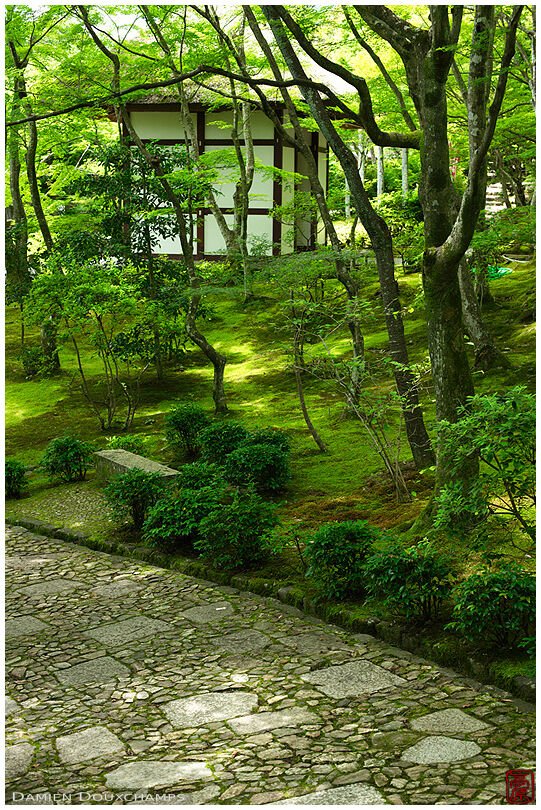 Jojakko-ji temple gardens