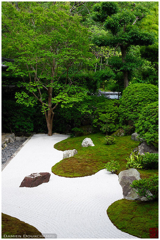 Zen garden, Daishin-in temple (1/5)