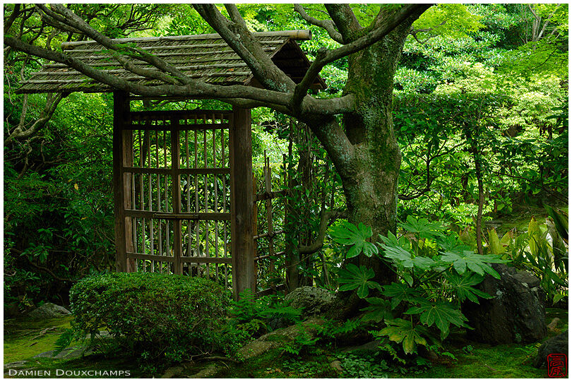 Closed gate in zen garden, Keishun-in temple