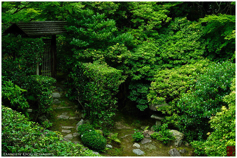 Lush vegetation in Keishun-in zen garden