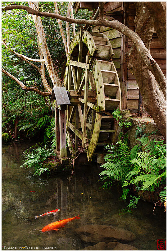 Old water mill