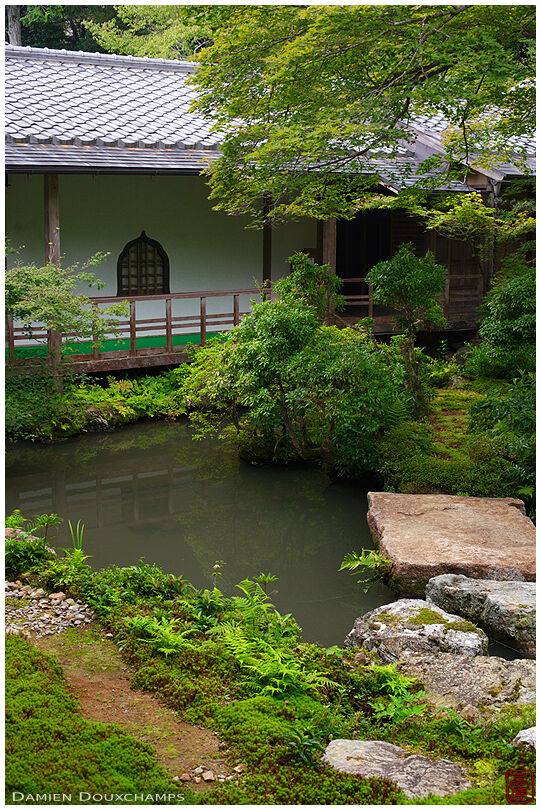 Green colors in the pond garden of Jisso-in temple, Kyoto, Japan