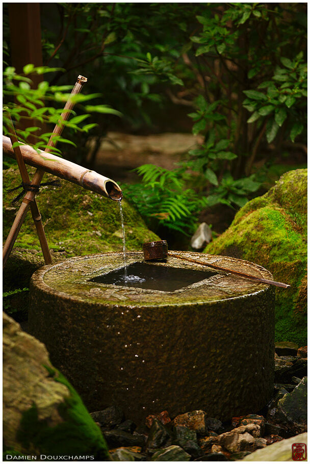 Tsukubai water basin in Ryoan-ji temple