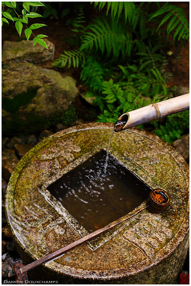 Tsukubai water basin in Ryoan-ji temple