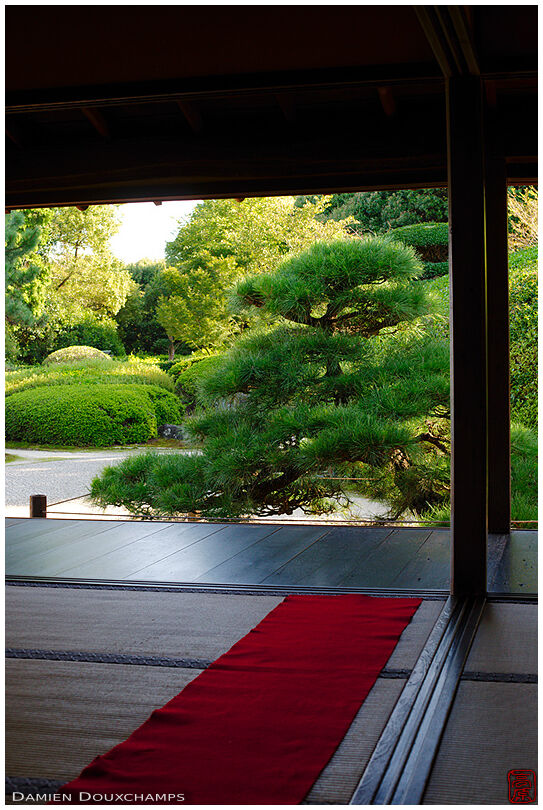 Red caprpet in main hall with view on dry landscape garden