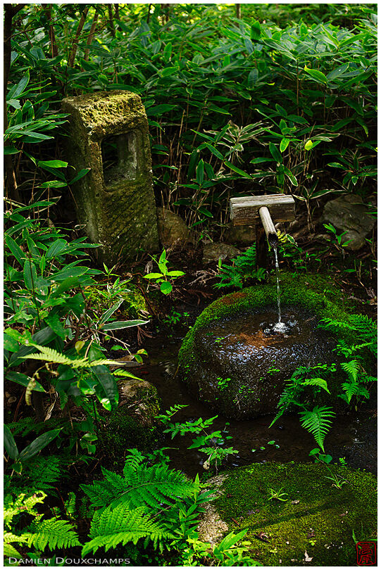 Tsukubai water basin, Raigo-in temple