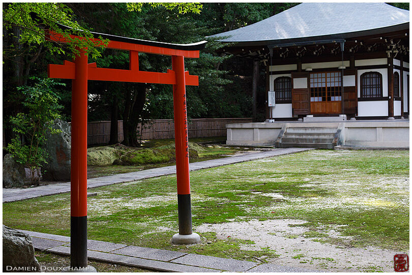 Shinto torii and Buddhic hall in Raigo-in temple