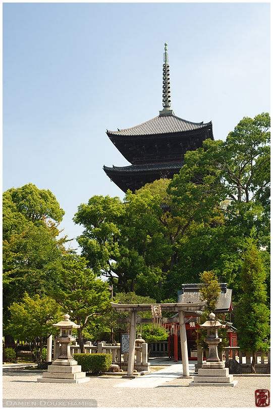 Shinto shrine under the pagoda of To-ji temple