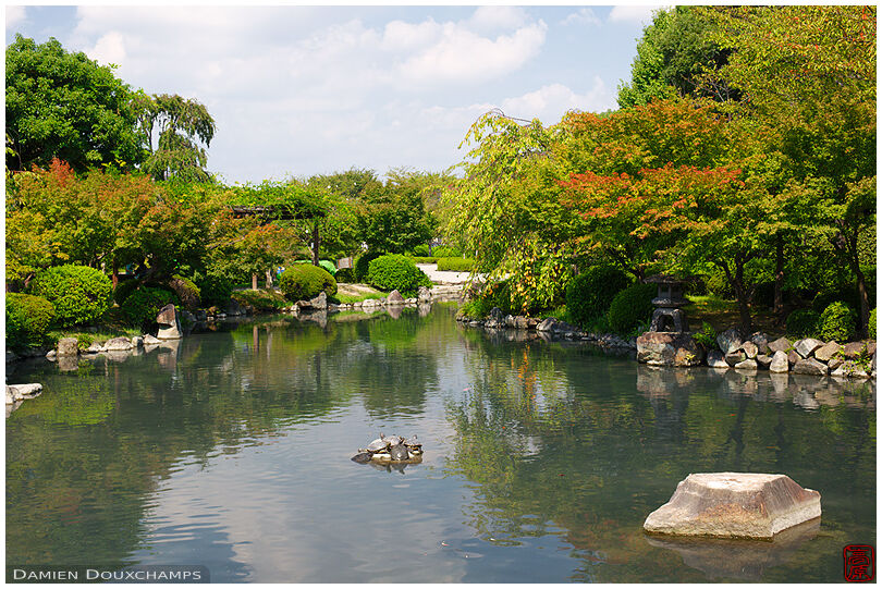 Pond in the zen garden of To-ji temple