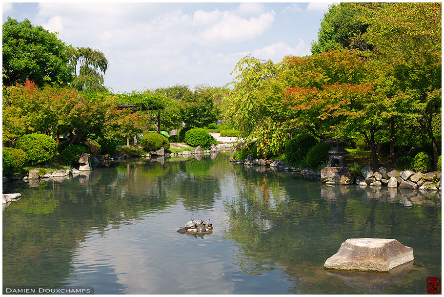 Pond in the zen garden of To-ji temple