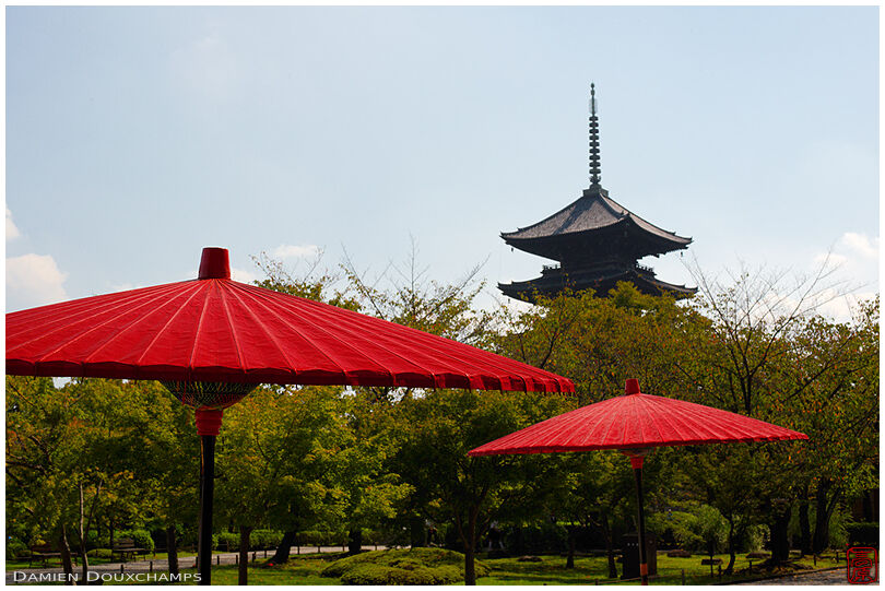 Red umbrellas in To-ji temple zen garden