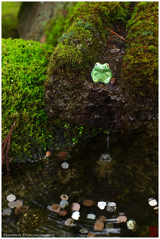 Small frog porcelain on the rim of a mossy water basin, Tenju-an temple