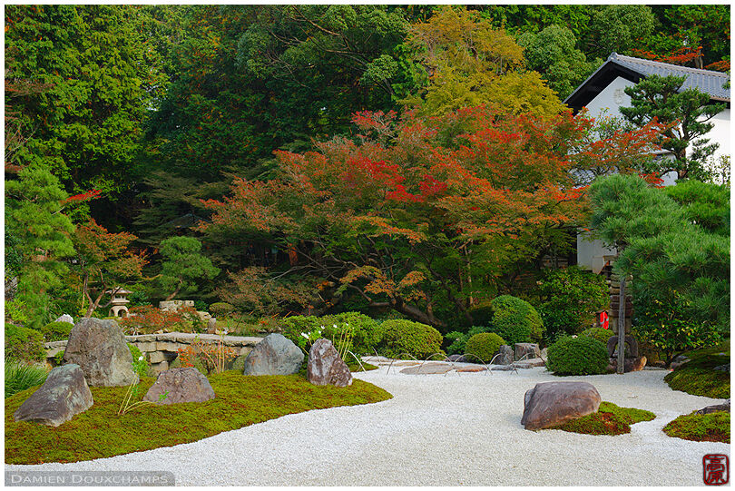 Konkaikomyo-ji temple gardens in autumn