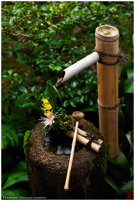 Floral decoration on tsukubai water basin in Funda-in temple