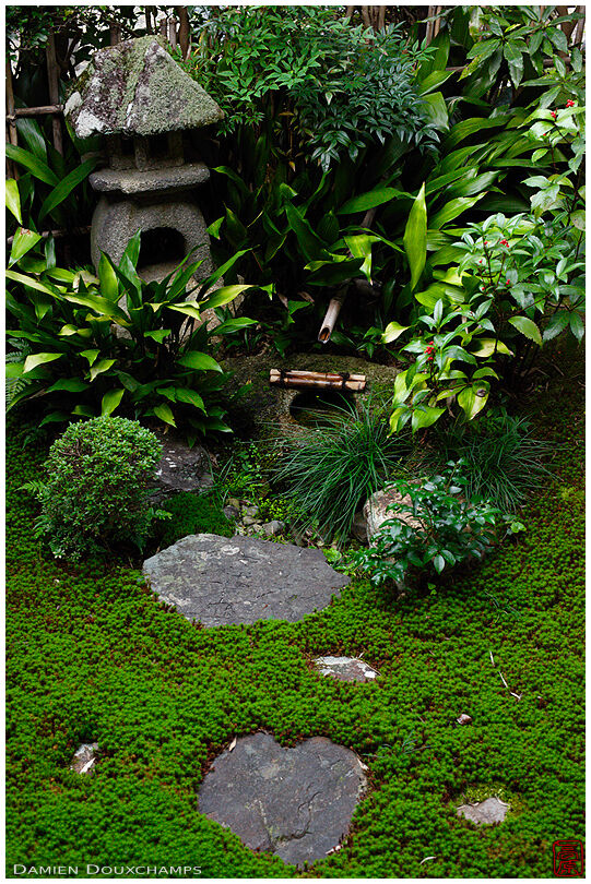 Lantern and small tsukubai water basin in moss garden, Funda-in temple