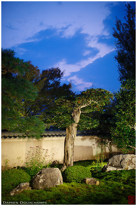 Evening sky over moss garden, Tentoku-in temple