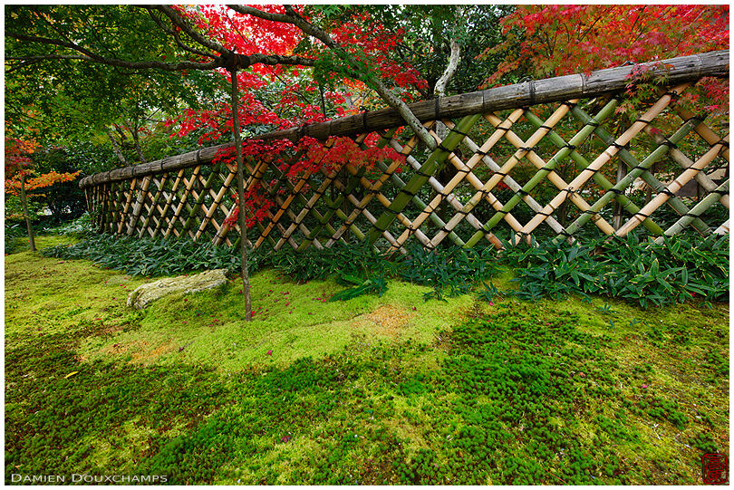 Moss garden with bamboo fence, Koetsu-ji temple