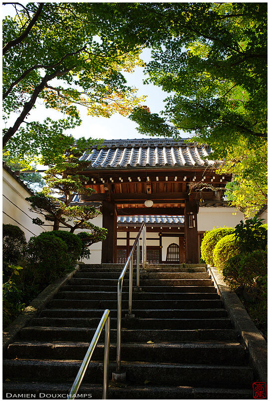 Stairs climbing to Shozen-ji temple