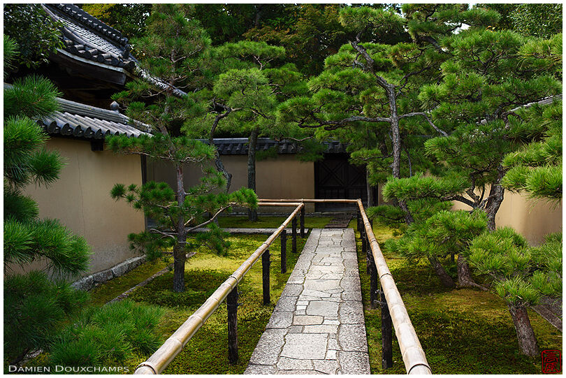 Entrance path of Koto-in temple in the Daikaku-ji temple complex