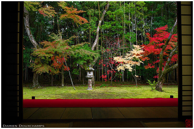 Moss garden in autumn, Koto-in temple
