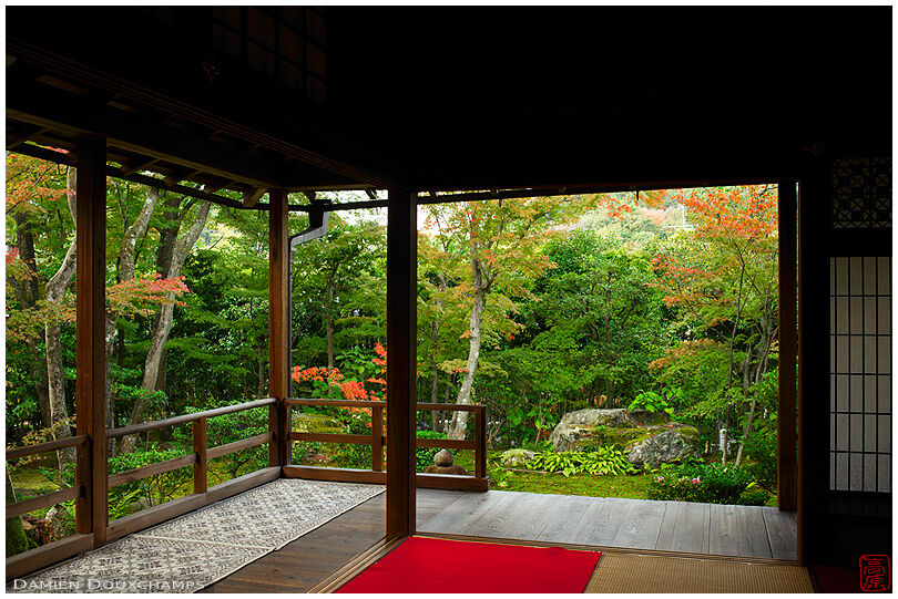 Hall with view on zen garden in autumn, Daiho-in temple