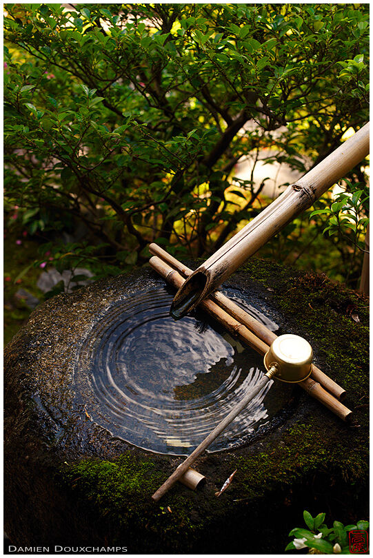 Tsukubai water basin, Daiho-in temple