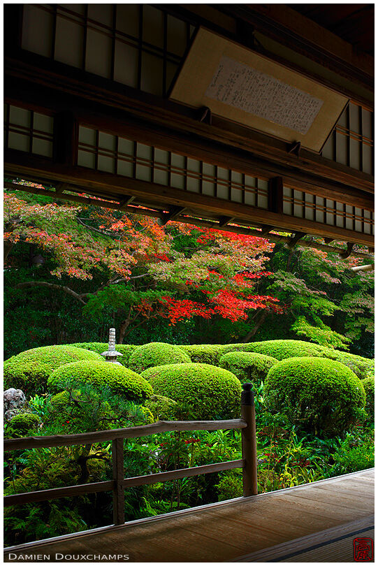 Early autumn colours from Shisen-do temple's hall
