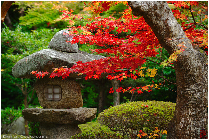 Stone lantern in automnal garden, Enko-ji temple