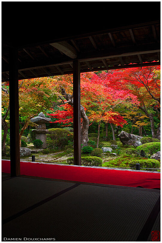Zen garden in autumn from meditation hall, Enko-ji temple (1/4)
