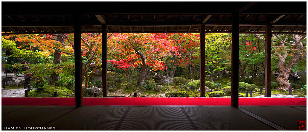 Zen garden in autumn from meditation hall, Enko-ji temple (4/4)