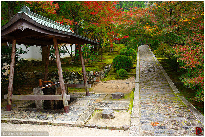 Entrance of SHuon-an temple in autumn