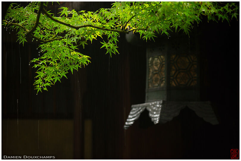 Lantern in the rain, Sumiya house
