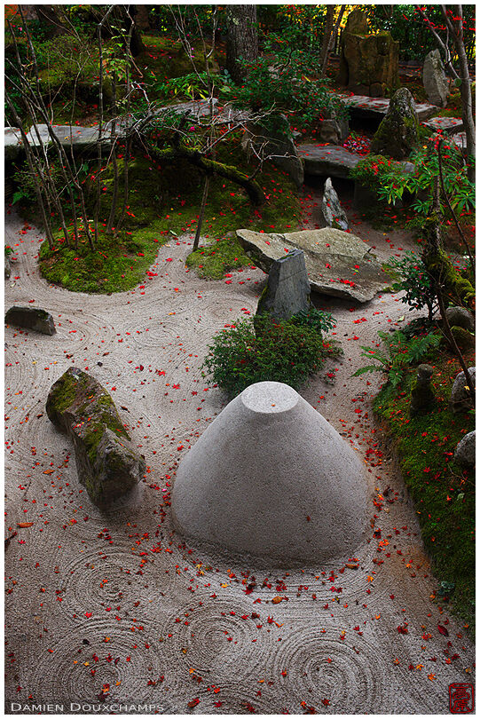 Zen garden with sprinkled red maple leaves, Hosen-in temple