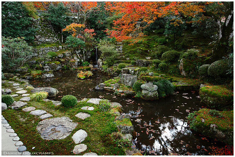 Zen garden with pond in autumn, Jikko-in temple