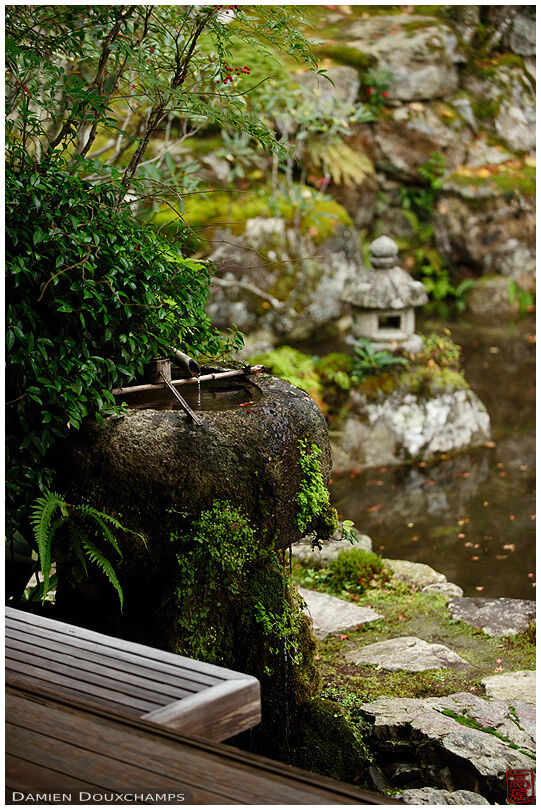 Tsukubai water basin in Jikko-in zen gardens