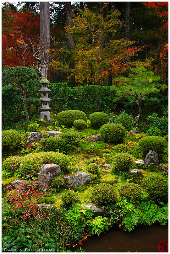 Sanzen-in temple zen garden in autumn