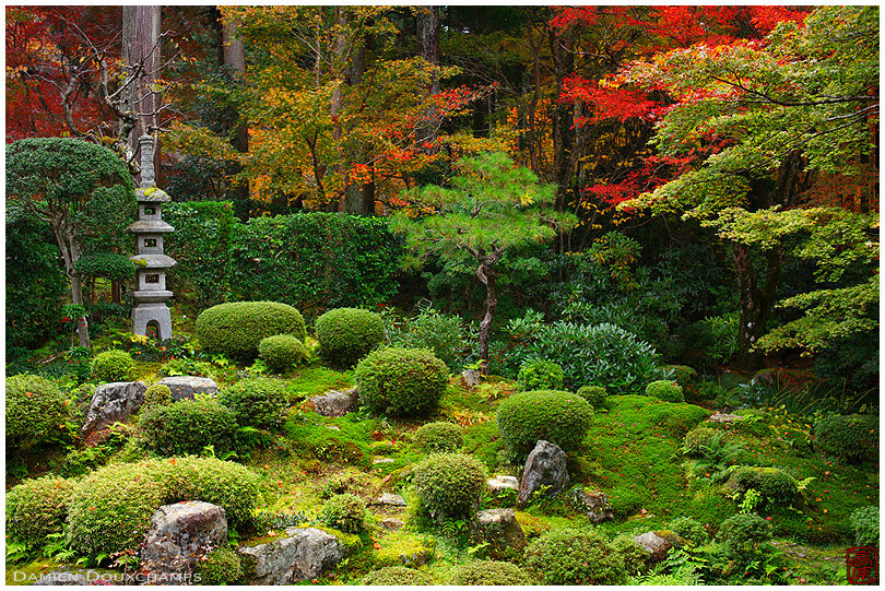 Zen garden in autumn, Sanzen-in temple