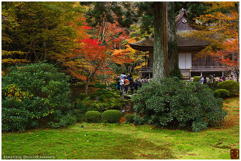 Moss garden in autumn, Sanzen-in temple