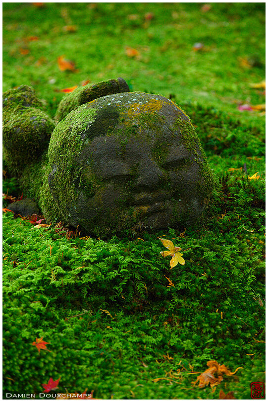 Moss-covered warai-jizo statues, Sanzen-in temple