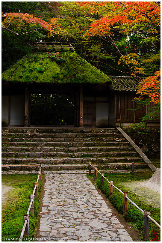 Moss-covered gate of Hosen-in temple in autumn