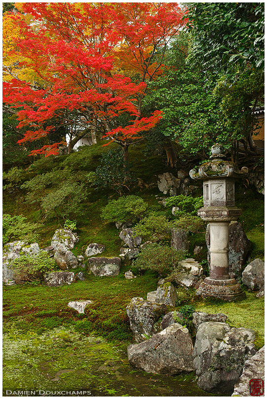 Stone lantern in rock garden in autumn, Reikan-ji temple