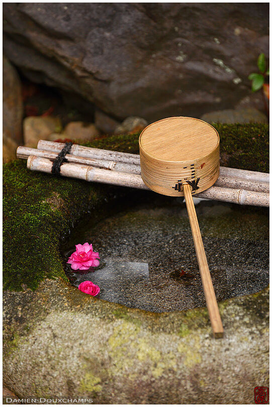 Pine ladle on tsukubai water basin with two pink flowers, Reikan-ji temple