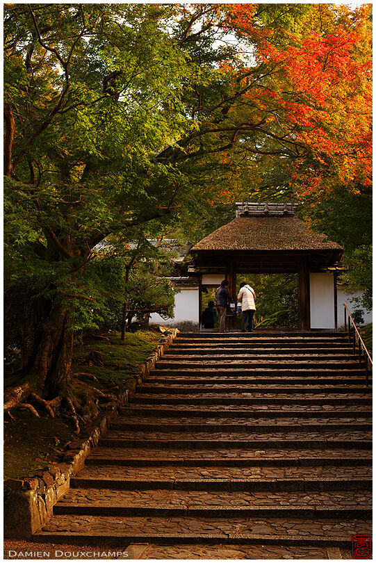 Anraku-ji temple gate in autmn