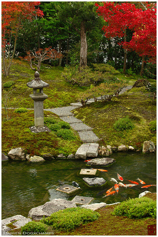 Koi carps and stone lantern, Kouun-ji temple