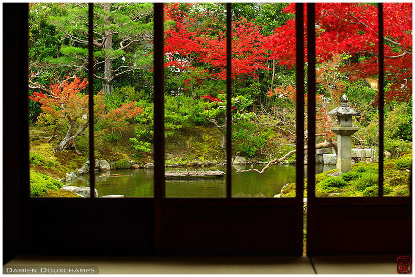 Window on zen garden in autumn, Kouun-ji temple